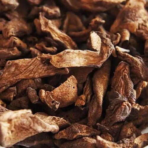 Funghi Seco Chileno 100g