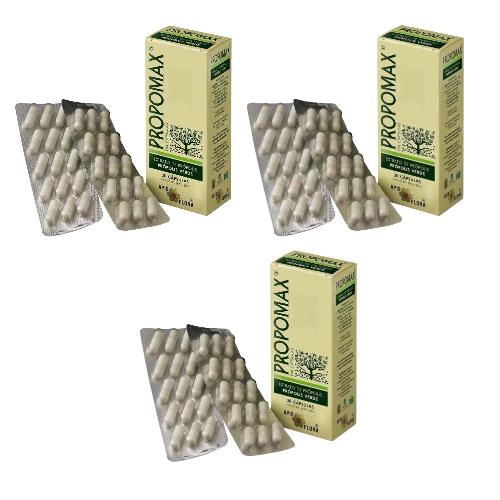 Kit 3 Propomax Extrato de Própolis 30 Cápsulas Apis Flora