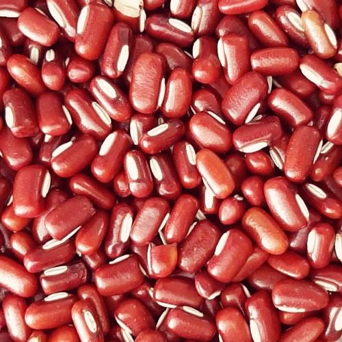 Feijão Azuki 100g