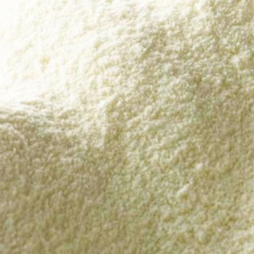 Leite em Pó Desnatado 100g