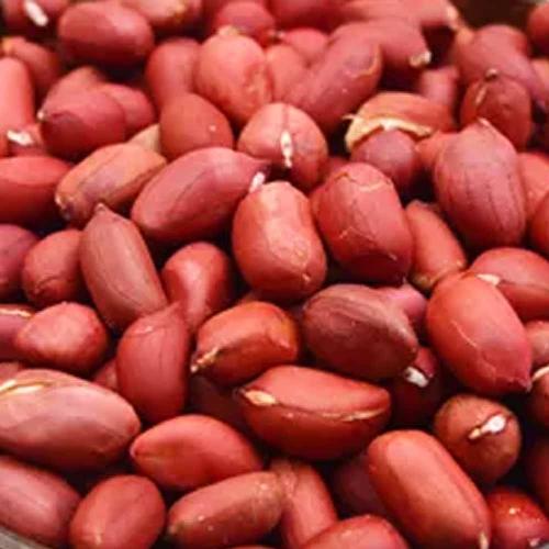 Amendoim com Pele Cru Vermelho 100g