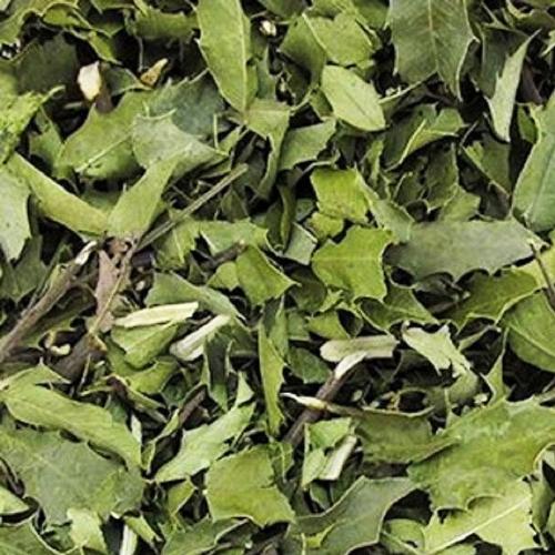 Espinheira Santa 100g