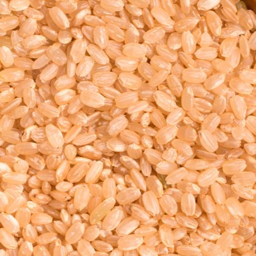 Arroz Integral Cateto 100g