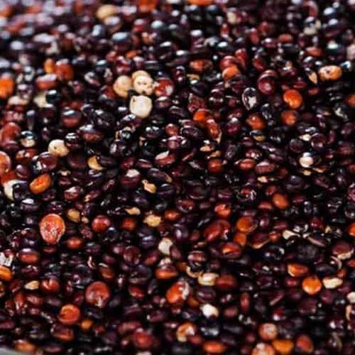 Quinua Negra em Grãos 100g