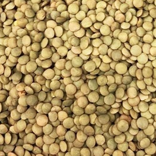Lentilha Canadense 100g