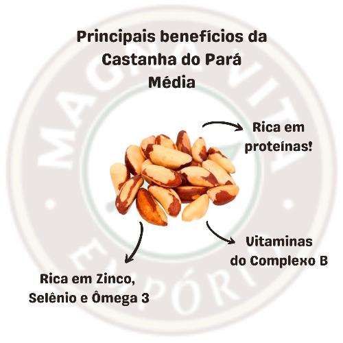 Castanha do Pará Média 100g