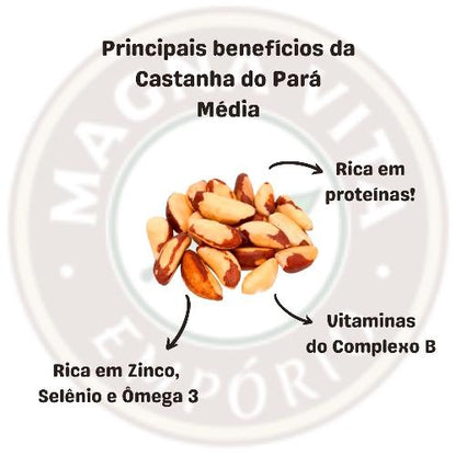 Castanha do Pará Média 100g