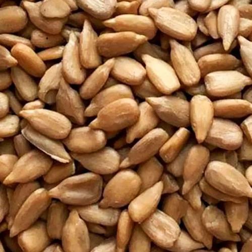 Semente de Girassol Torrada Salgada sem Casca 100g